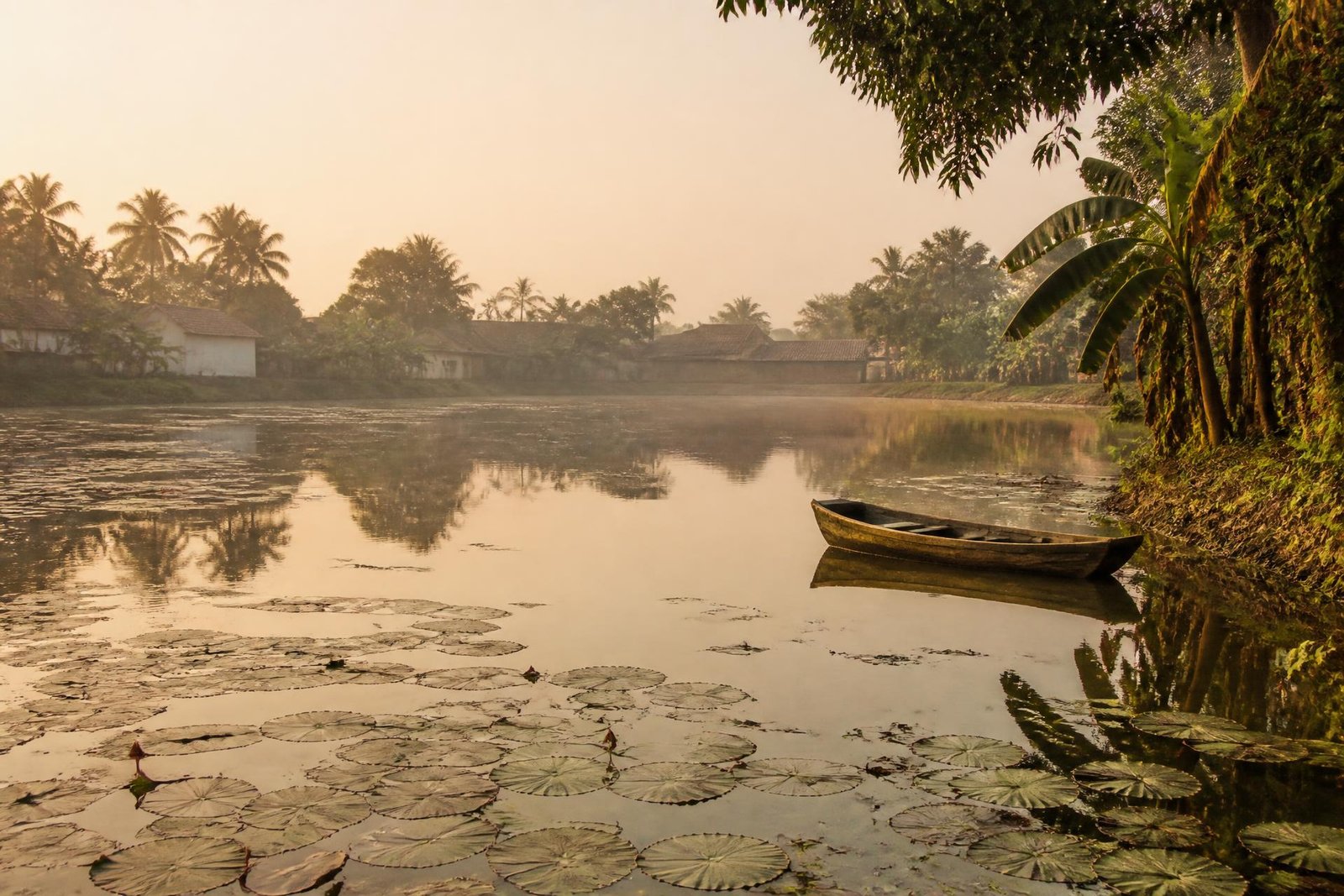 A lotus pond and village landscape evoking Mithila at sunrise